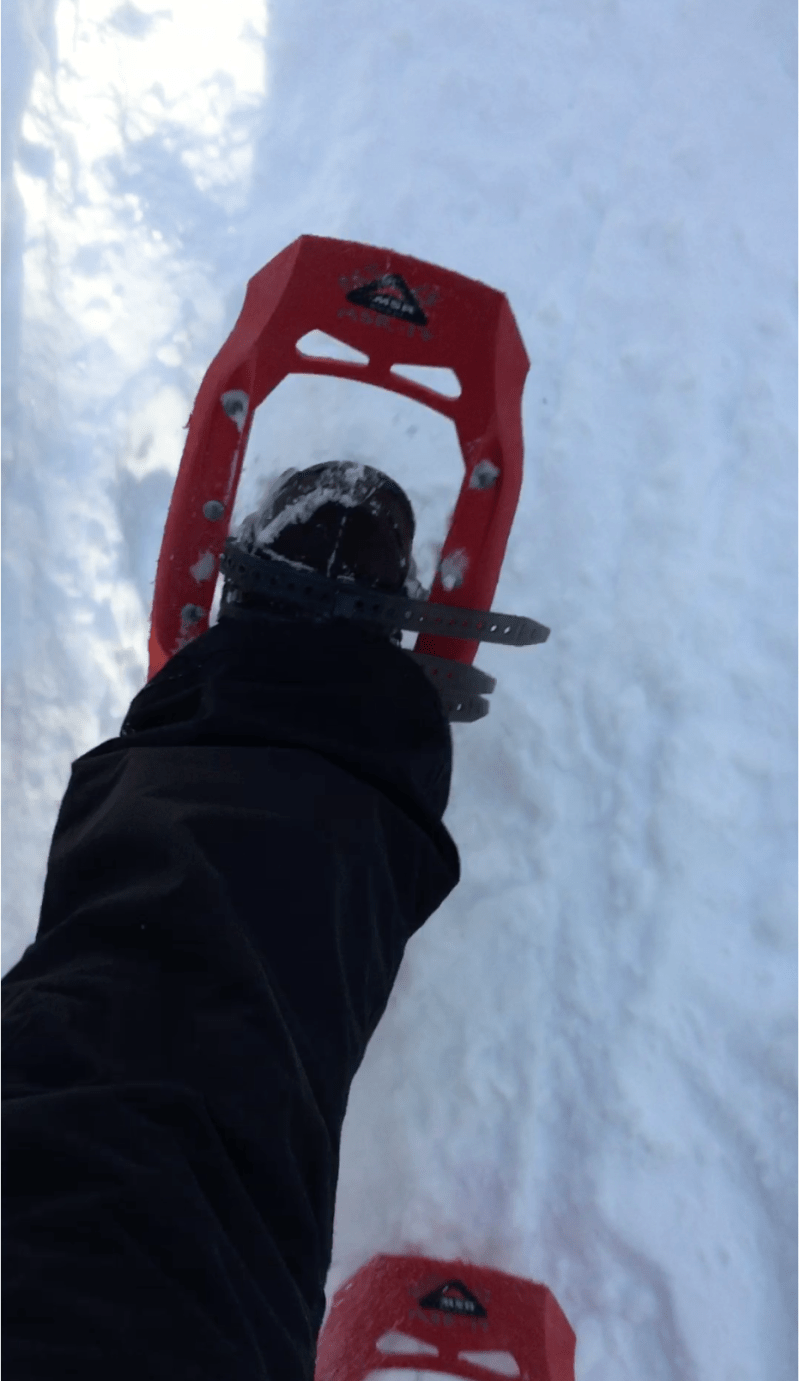 Screen Shot 2017-01-07 at 8.21.11 PM.png